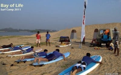 SFI setting the coaching standards for surf schools