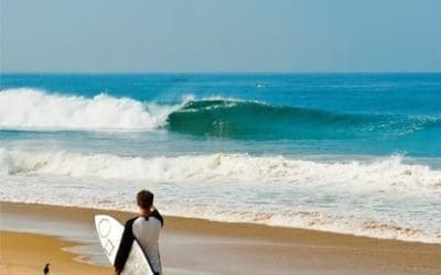 Surfing in India Article by Surfer Magazine